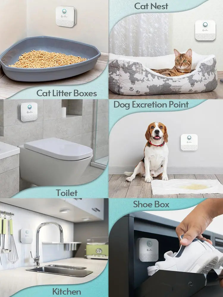 Downypaws 4000Mah Smart Cat/Dog Odor Purifier for Cat Litter Box or Dog Kennel 