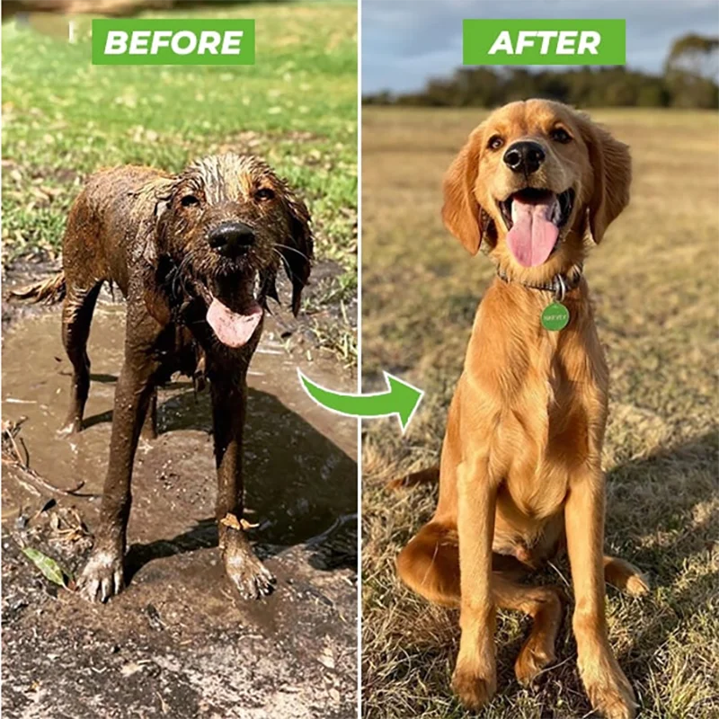 "Ultimate Dog Shower Gun: Adjustable High-Pressure Sprayer Nozzle for a Refreshing and Luxurious Pet Bath Experience!"